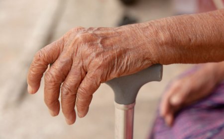 Digital fragility: Invasion of the CNJ exposes vulnerability of Brazilian Justice