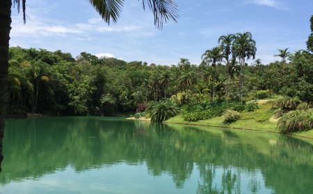 Brumadinho: Memorial completa um ano e reacende debate sobre impunidade