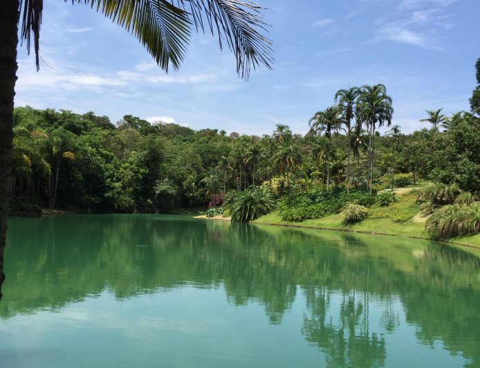 Brumadinho: Memorial completa um ano e reacende debate sobre impunidade