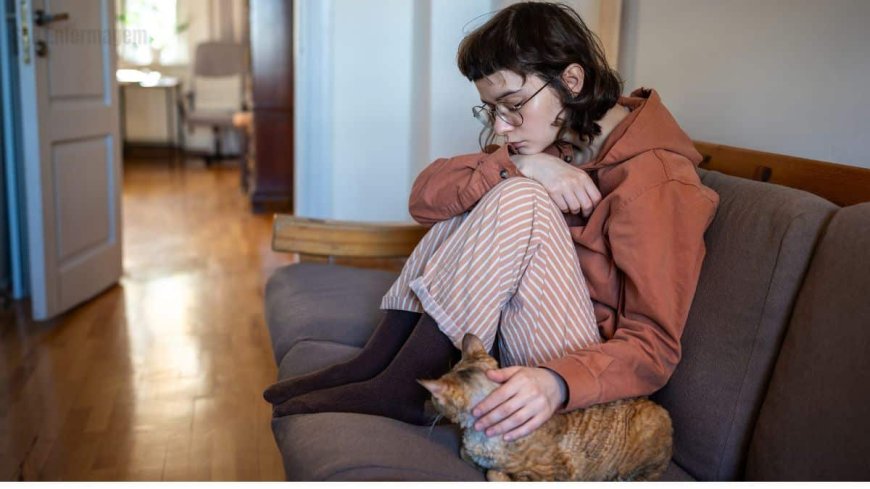 Liquidation of Will Financeira: another symptom of the crisis at Banco Master?