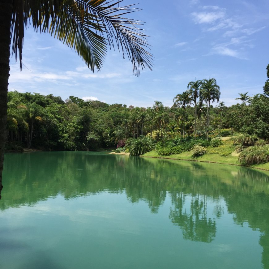 Brumadinho: Memorial completa um ano e reacende debate sobre impunidade